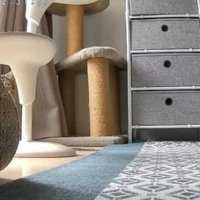 見守りカメラと猫