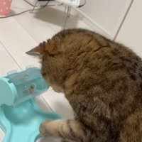 俯く姿