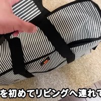 キャリーバッグを持っている人