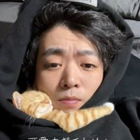 人に抱き着いて寝ている子猫