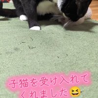 受け入れ