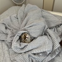 タオルケットにくるまっている猫