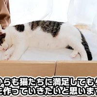 眠るメイちゃん
