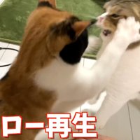 超スロー再生右パンチ