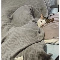 ベッドで寝ている猫