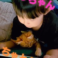 子どもと子猫
