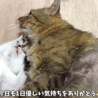 テロップ「今日も一日～」