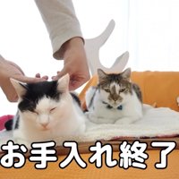 テロップ「お手入れ終了」