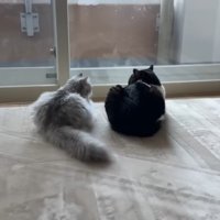 ふたりの後ろ姿