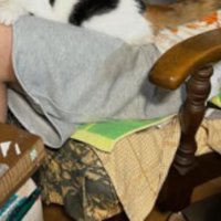 男性と猫