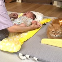 やれやれ