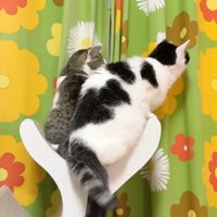 くっつくホルンくんとささみくん