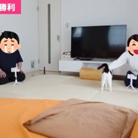 ホルンくんをなでなで