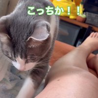 別のものを虫と勘違い