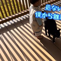 テロップ「危ないから～」