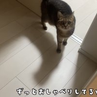 「ずっとおしゃべりしてるｗ」のテロップ写真