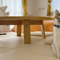 こちらを見るふたり