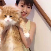 飼い主に上半身を抱えられているノルウェージャンフォレストキャット