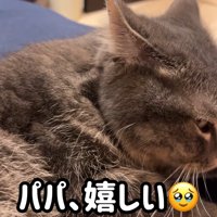 パパ、嬉しい