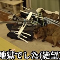 倒れているハンガーラックや洗濯物かけ