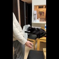 左前足を伸ばして