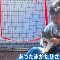 男の子に抱っこされる猫
