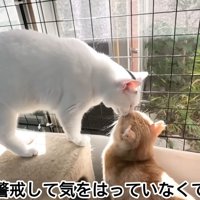 テロップ「いつも警戒して～」