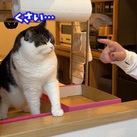 くさい…