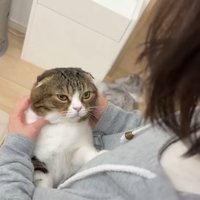 向き合うふたり