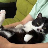 膝抱っこ(向かって右から)