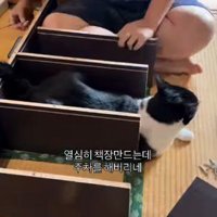 本棚を組み立て続ける男性