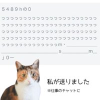 猫と文章
