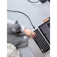 添い寝している猫