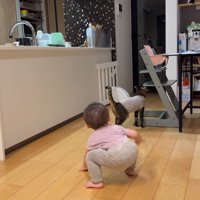 しっぽをあげてイスに顔をすり寄せる猫を見つめる赤ちゃん
