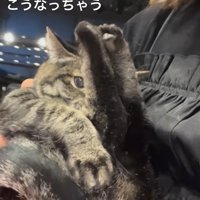 猫を抱っこする人と足を上げる猫