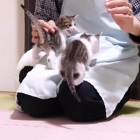 膝の上に乗るふたり