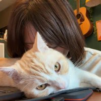 猫の体に顔をうずめる飼い主