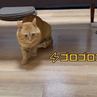 ゴロゴロゴロ