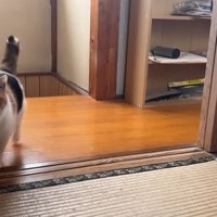 部屋の中へ