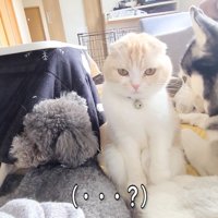 座り込む姿