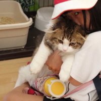 カメラ目線と抱っこ
