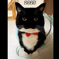 2025 (少しアップ)