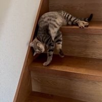 手は使う