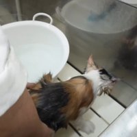 桶の外へ