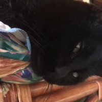 お顔のアップ