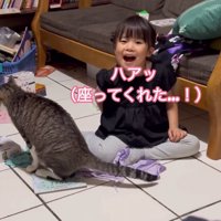 隣に座った猫を見て笑顔になる女の子