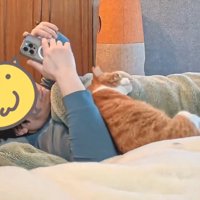 猫に気付かずスマホを触る飼い主