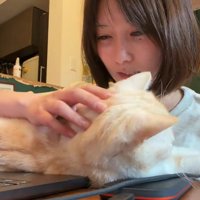 猫をなでながらなだめる飼い主