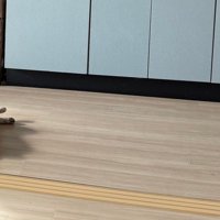 キッチンの床に寝転がる猫の足