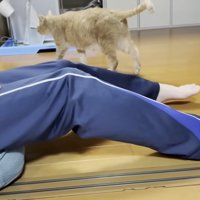 脚（青ジャージ）の奥に猫ちゃん